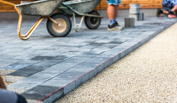 Best Driveway Pavers Near Me  in Alexandria, MN