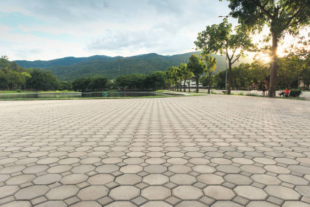 Best Residential Paver Driveway  in Alexandria, MN