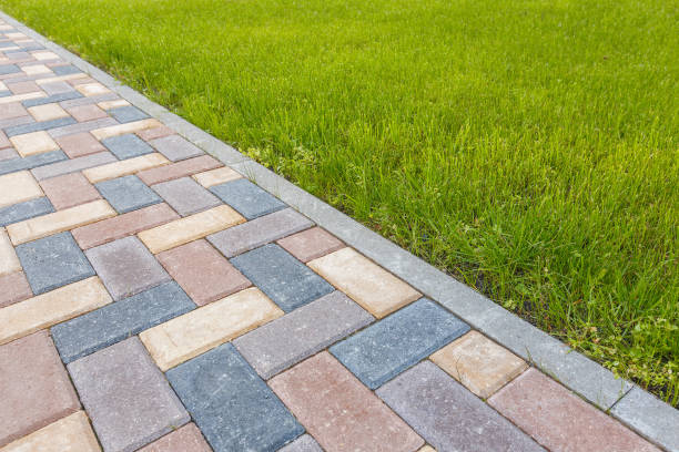 Best Driveway Pavers for Homes  in Alexandria, MN